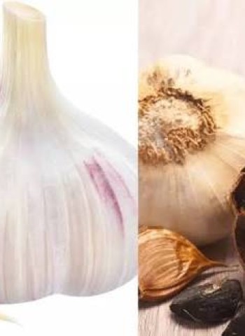 வெள்ளைப் பூண்டை விட பல மடங்கு நன்மை கொண்ட கருப்புப் பூண்டின் ரகசியம் தெரியுமா?