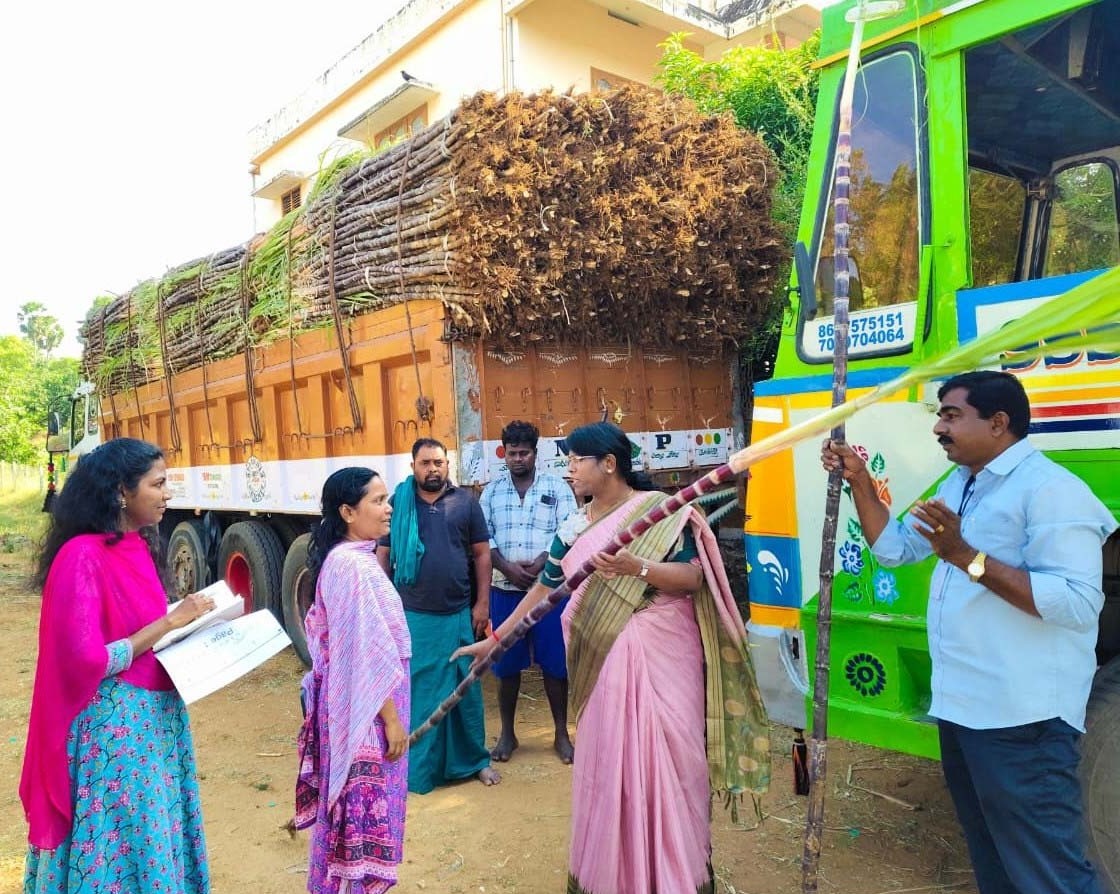 கரும்புகளை நியாயவிலைக்கடைகளுக்கு அனுப்பப்படுவதை குமரி கலெக்டர் அழகுமீனா நேற்று ஆய்வு