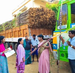 கரும்புகளை நியாயவிலைக்கடைகளுக்கு அனுப்பப்படுவதை குமரி கலெக்டர் அழகுமீனா நேற்று ஆய்வு