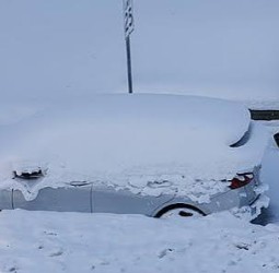 அமெரிக்காவில் உறைபனி, பனிப்புயலுக்கு 15 பேர் பலி!