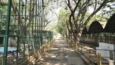 கோவையில் பேங்க் ஆப் பரோடாவின் வீட்டுமனை கண்காட்சி: 50-க்கும் மேற்பட்ட நிறுவனங்கள் பங்கேற்பு