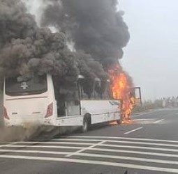 ஆந்திர பேருந்தில் தீ விபத்து: பயணிகளின் நிலை என்ன?