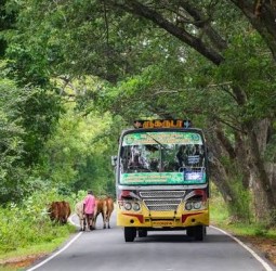 என் ஊர் பேருந்து