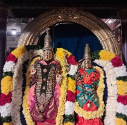 சந்திரசேகரர் மண்டகப்படி சென்று வருதல்......