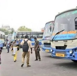 பொங்கல்: சிறப்புப் பேருந்துகளில் 2.47 லட்சம் பேர் பயணம்!