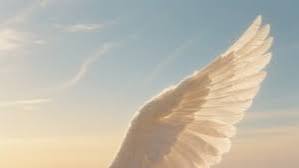 " மெல்லிய இறகுகள் "