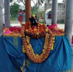 அரும்பூர் சிவாலயத்தில் பிரதோச வழிபாடு