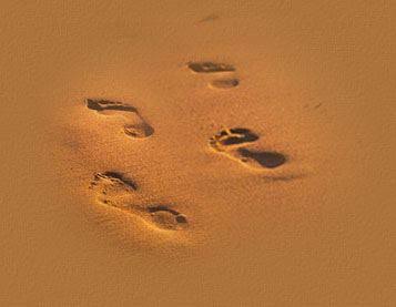 தடங்கள்