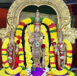 ஸ்ரீ வைத்திய வீரராகவ சுவாமி தேவஸ்தானம்