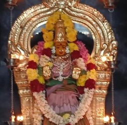 ஸ்ரீ வாசவி கன்யகா பரமேஸ்வரி அம்மன் ஆலயத்தில் தை மாத மூன்றாம் வெள்ளியை முன்னிட்டு சிறப்பு அபிஷேகங்கள்