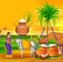 பொங்கலோ பொங்கல்